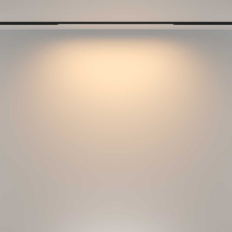 Трековый светильник Maytoni Technical TR173-1-16WTW-B