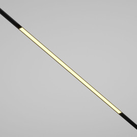 Трековый светодиодный светильник Maytoni Technical Basis TR030-2-30W2.7K-B