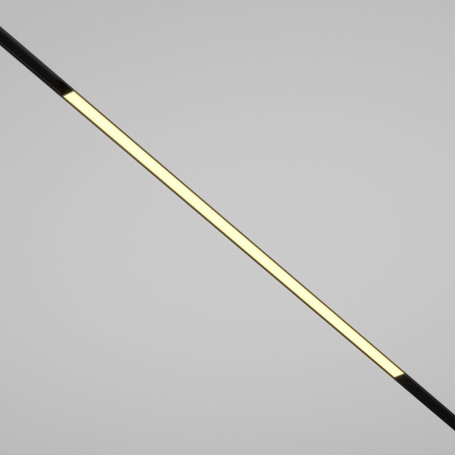 Трековый светодиодный светильник Maytoni Technical Basis TR030-2-30W2.7K-B