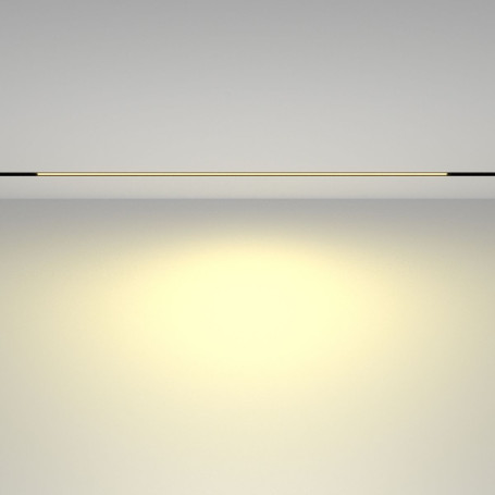 Трековый светодиодный светильник Maytoni Technical Basis TR030-2-30W2.7K-B