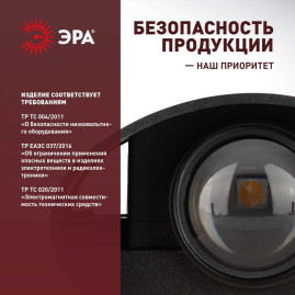 Уличный настенный светильник ЭРА Pictor WL57-2 BK Б0064544