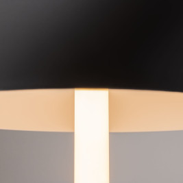 Настольная лампа Maytoni Ray Z012TL-L8B3K