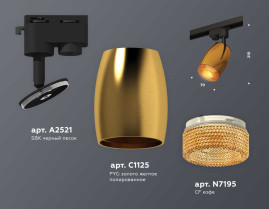 Комплект трекового светильника Ambrella light Track System XT (A2521, C1125, N7195) XT1125006