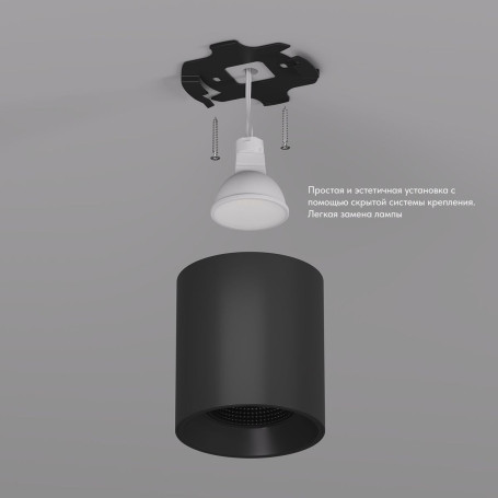 Накладной светильник Denkirs Rodvig DK3090-BK