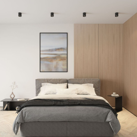 Накладной светильник Denkirs Rodvig DK3090-BK