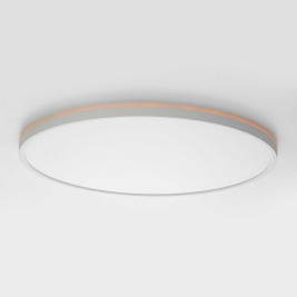 Потолочный светильник Citilux NORMA CL749500