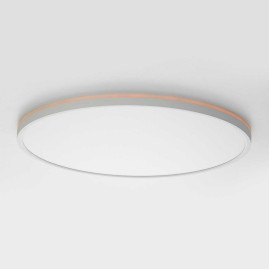 Потолочный светильник Citilux NORMA CL749500
