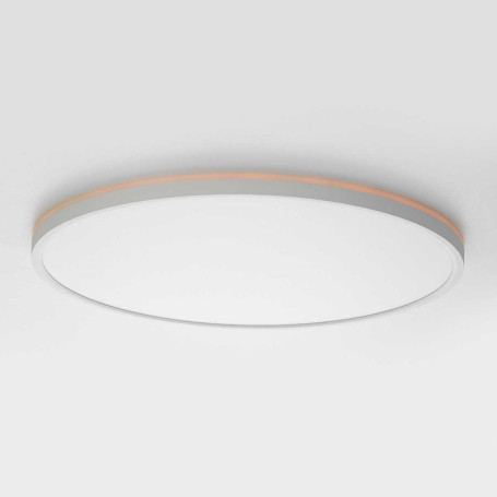 Потолочный светильник Citilux NORMA CL749500