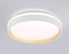 Потолочный светодиодный светильник Ambrella light Orbital Dance FZ601