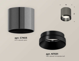 Комплект накладного светильника Ambrella light Techno Spot XS7403002 DCH/PBK черный хром/черный полированный (C7403, N7031)