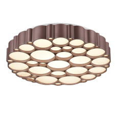 Потолочный светильник Vele Luce Bible VL7156L01