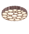 Потолочный светильник Vele Luce Bible VL7156L01