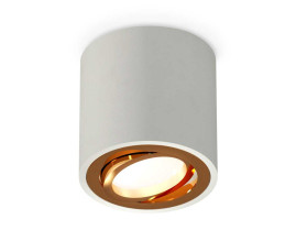 Комплект накладного светильника Ambrella light Techno Spot XS7533004 SGR/PYG серый песок/золото желтое полированное (C7533, N7004)