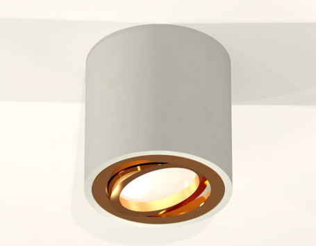 Комплект накладного светильника Ambrella light Techno Spot XS7533004 SGR/PYG серый песок/золото желтое полированное (C7533, N7004)