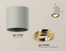Комплект накладного светильника Ambrella light Techno Spot XS7533004 SGR/PYG серый песок/золото желтое полированное (C7533, N7004)