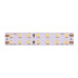 Светодиодная влагозащищенная лента DesignLed 18W/m 196LED/m 2835SMD теплый белый 5M 000529