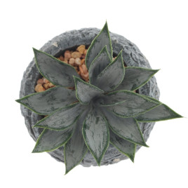 Цветочная композиция &quot;Суккулент&quot;, L11 W11 H12 см