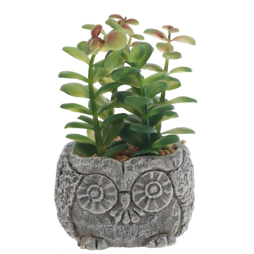 Цветочная композиция &quot;Суккулент&quot;, L11 W11 H12 см