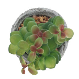 Цветочная композиция &quot;Суккулент&quot;, L11 W11 H12 см