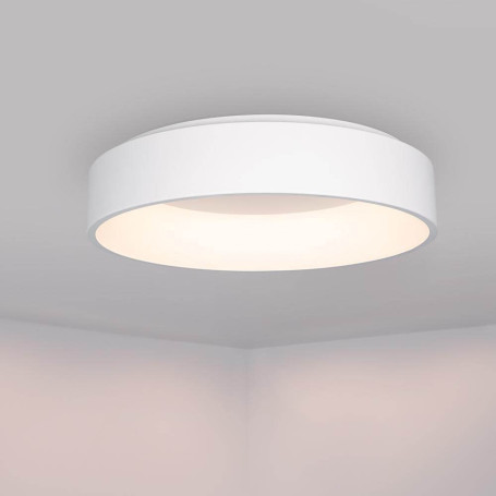 Потолочный светодиодный светильник Arlight SP-Tor-Ring-Surface-R460-33W Day4000 022134(1)