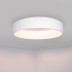 Потолочный светодиодный светильник Arlight SP-Tor-Ring-Surface-R460-33W Day4000 022134(1)