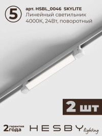 Трековая система со светильниками №10 однофазная накладная Hesby Lighting Skylite HSBL_kompl_S010_NI2W4K