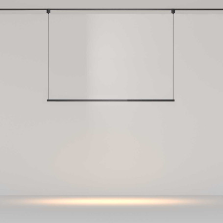 Трековый подвесной светильник Maytoni Technical TR169-1-52W3K-M-B