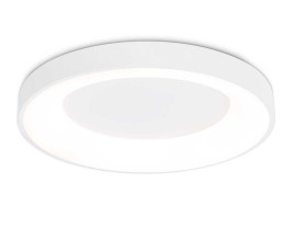 Потолочный светодиодный светильник Ambrella light Orbital Design FZ1401