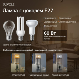 Торшер Rivoli Anda 7091-601 Б0071552