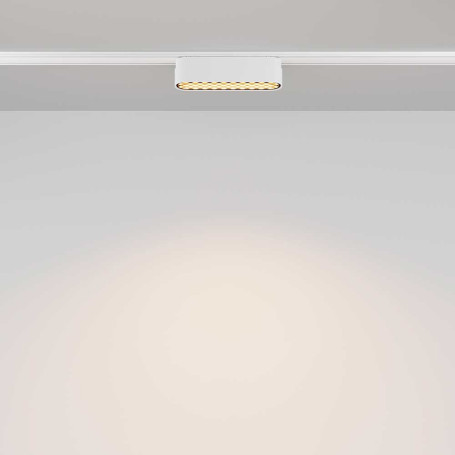 Трековый светодиодный светильник Maytoni Technical Radity Basis Grid TR084-1-6W3K-W