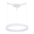 Подвесной светодиодный светильник Arte Lamp A2504SP-1WH