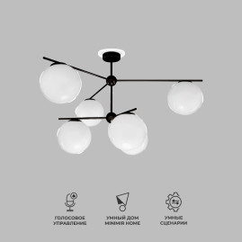 Потолочная люстра Eurosvet Marbella 60147/6 черный Smart