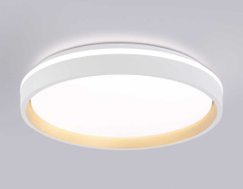 Потолочный светодиодный светильник Ambrella light Orbital Dance FZ607
