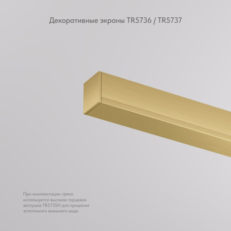 Вставка декоративная Denkirs Shine Base TR5737-SB