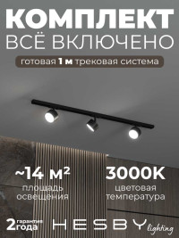 Накладная однофазная трековая система Hesby Lighting Skylite №13 со светильниками HSBL_kompl_S013_NI1B3K