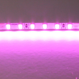 Светодиодная лента Lightstar 12W/m 120LED/m розовый 5M 420512