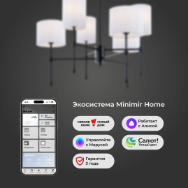 Подвесная люстра Eurosvet Notturno 60162/6 черный Smart