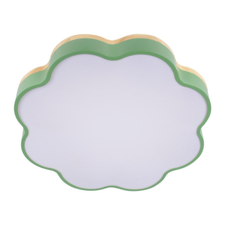 Потолочный светодиодный светильник Loft IT Axel 10225/36 Green