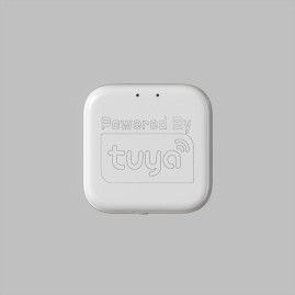 WIFI конвертер Denkirs Smart Control DK7400-WF