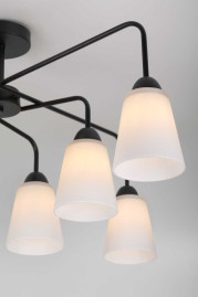 Потолочная люстра Rivoli Jodie 9190-308 Б0070154