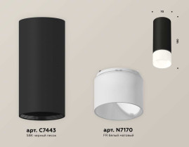 Комплект накладного светильника Ambrella light Techno Spot XS7443016 SBK/FR черный песок/белый матовый (C7443, N7170)