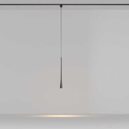 Трековый подвесной светильник Maytoni Technical TR167-1-7W3K-M-B