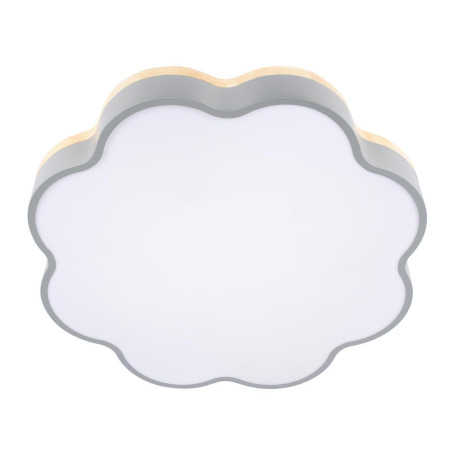 Потолочный светодиодный светильник Loft IT Axel 10225/36 Grey