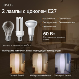 Торшер Rivoli Andreea 7094-602 Б0071555