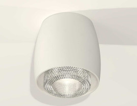 Комплект накладного светильника Ambrella light Techno Spot XS1141020 SWH/CL белый песок/прозрачный (C1141, N7191)