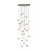 Подвесная люстра Odeon Light RONI 5037/232L