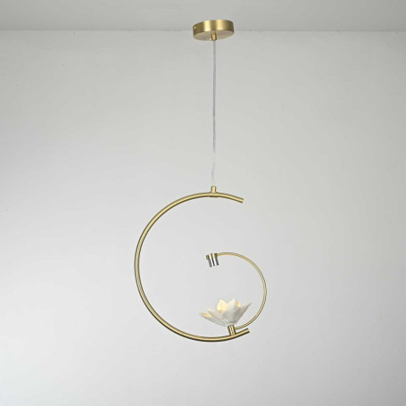 Подвесной светильник Imperium Loft 101770-26