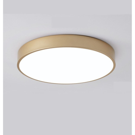 Настенно-потолочный светодиодный светильник TopDecor Union P2 33