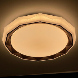 Потолочный светодиодный светильник Profit Light 2070/450 WH+CR