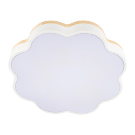 Потолочный светодиодный светильник Loft IT Axel 10225/36 White